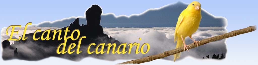 El canto del canario