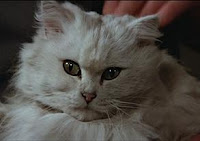I expect you to die MEOW