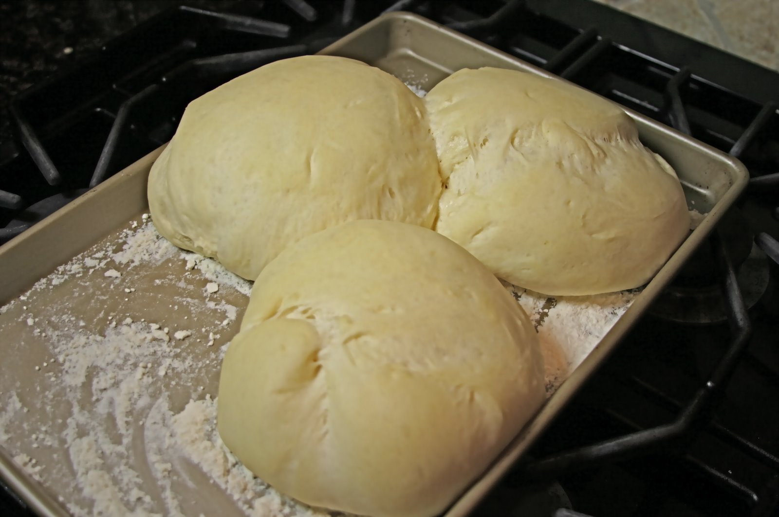 [dough+risen.JPG]