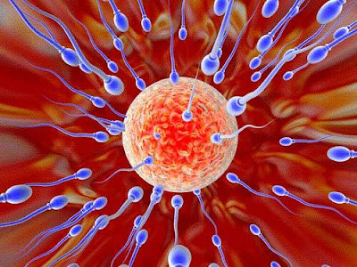 கோடி உயிரில் ஒரு உயிர் - வித்தியாசமான புகைப்படம் Sperm+Cells+%288%29