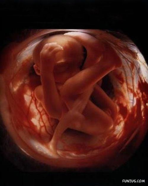 அற்புதம் Pregnancy+Sequency+Pics+%2810%29