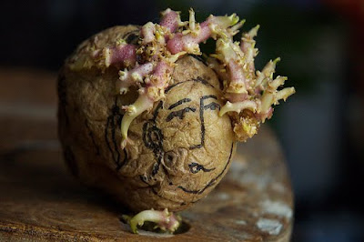 Unbelievable Potatos Art Potato+Arts+%2815%29