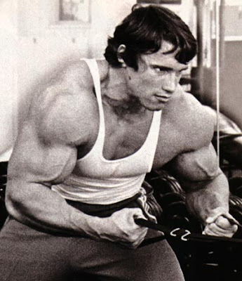 Arnold+Schwarzenegger+Body+Building+Photos+(11).jpg
