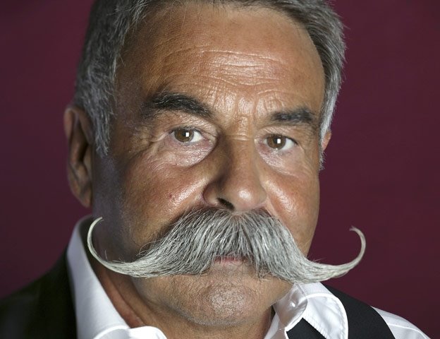 [13+Moustache+-+Hungarian+Moustache+-+Gunter+Rosin+Germany.JPG]