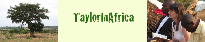 Taylor in Africa