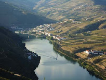 Douro Vinhateiro