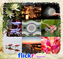 Minhas fotos no Flickr