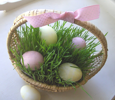 Grow Your Own Easter Basket Grass