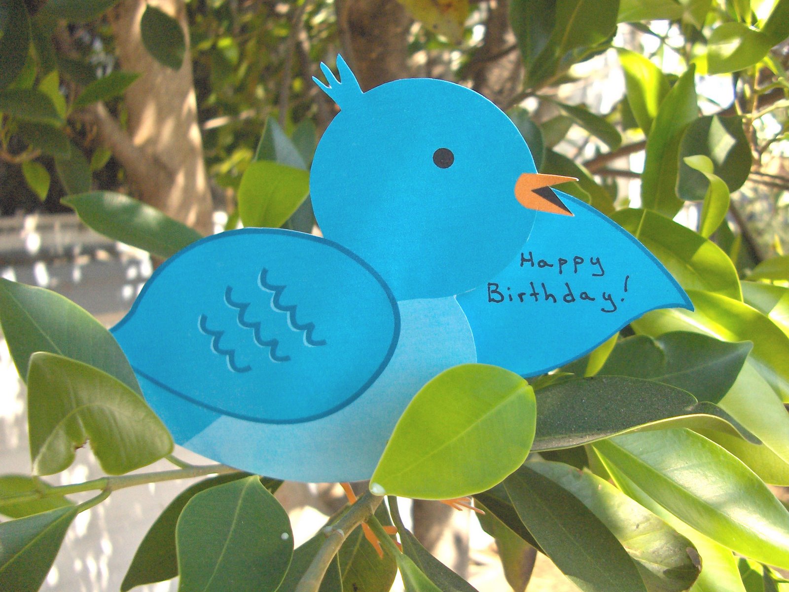 [bird+card+open.jpg]