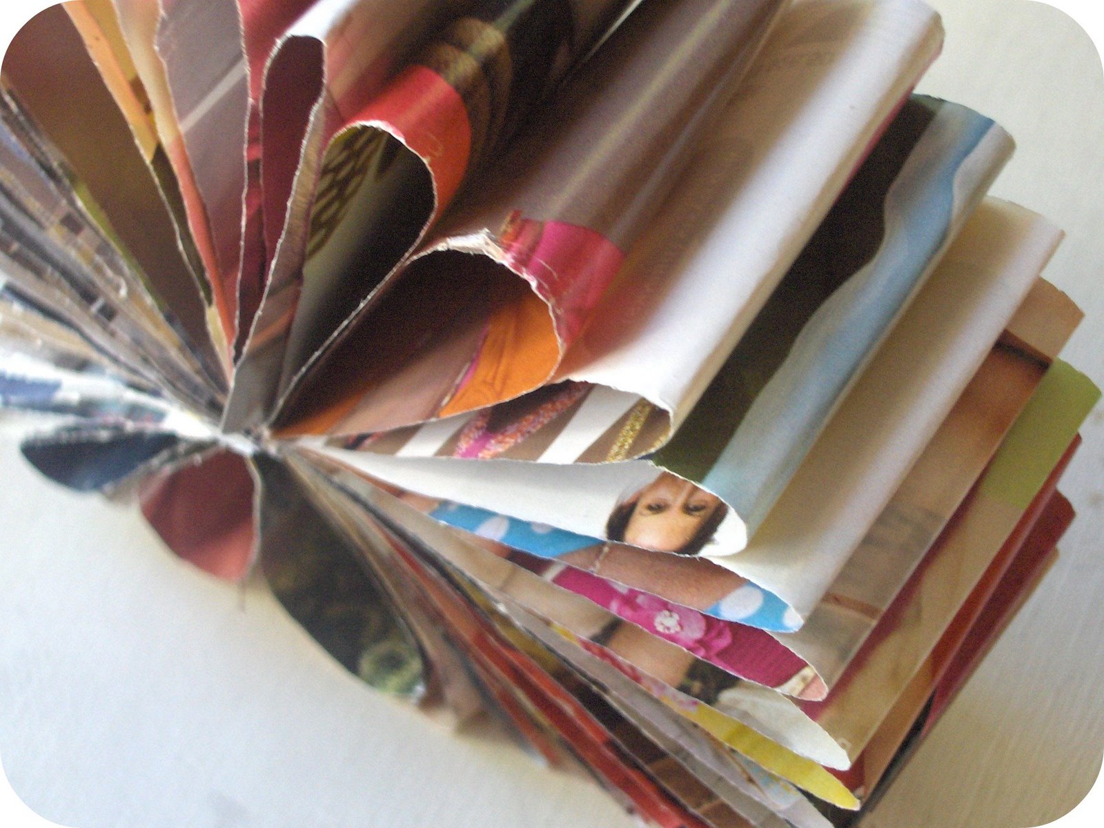 [close+up+offlower.jpg]