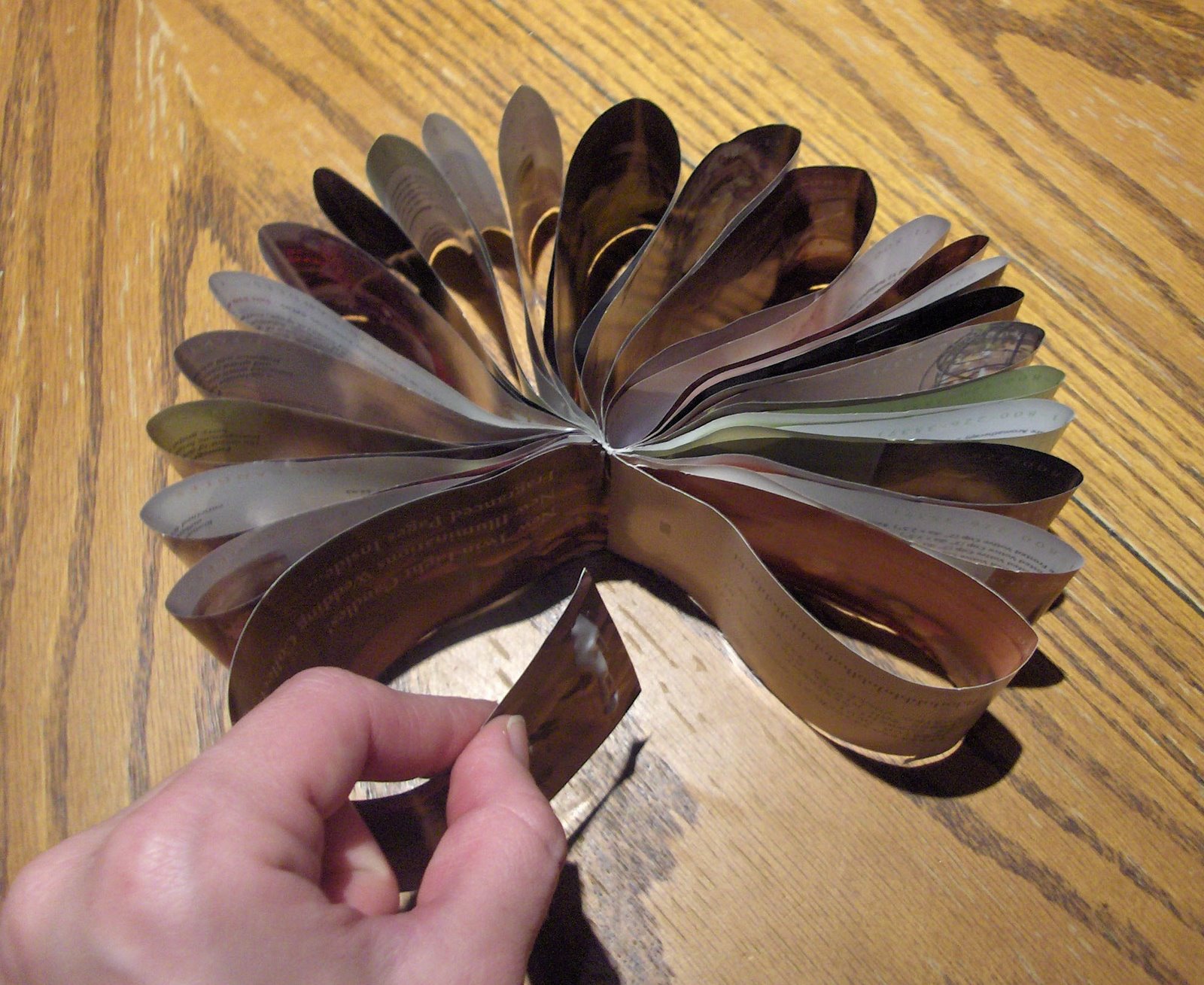 [catalog+step+7.jpg]