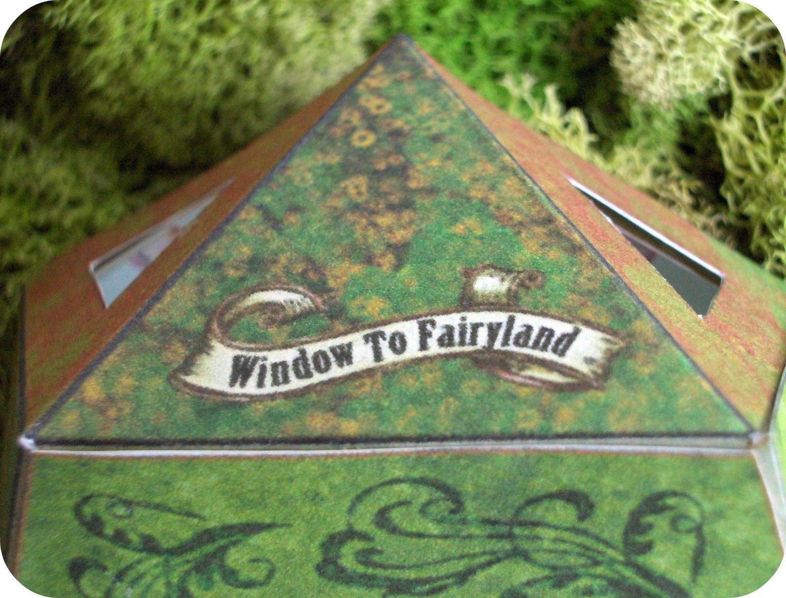 [window+to+faryland+1.jpg]