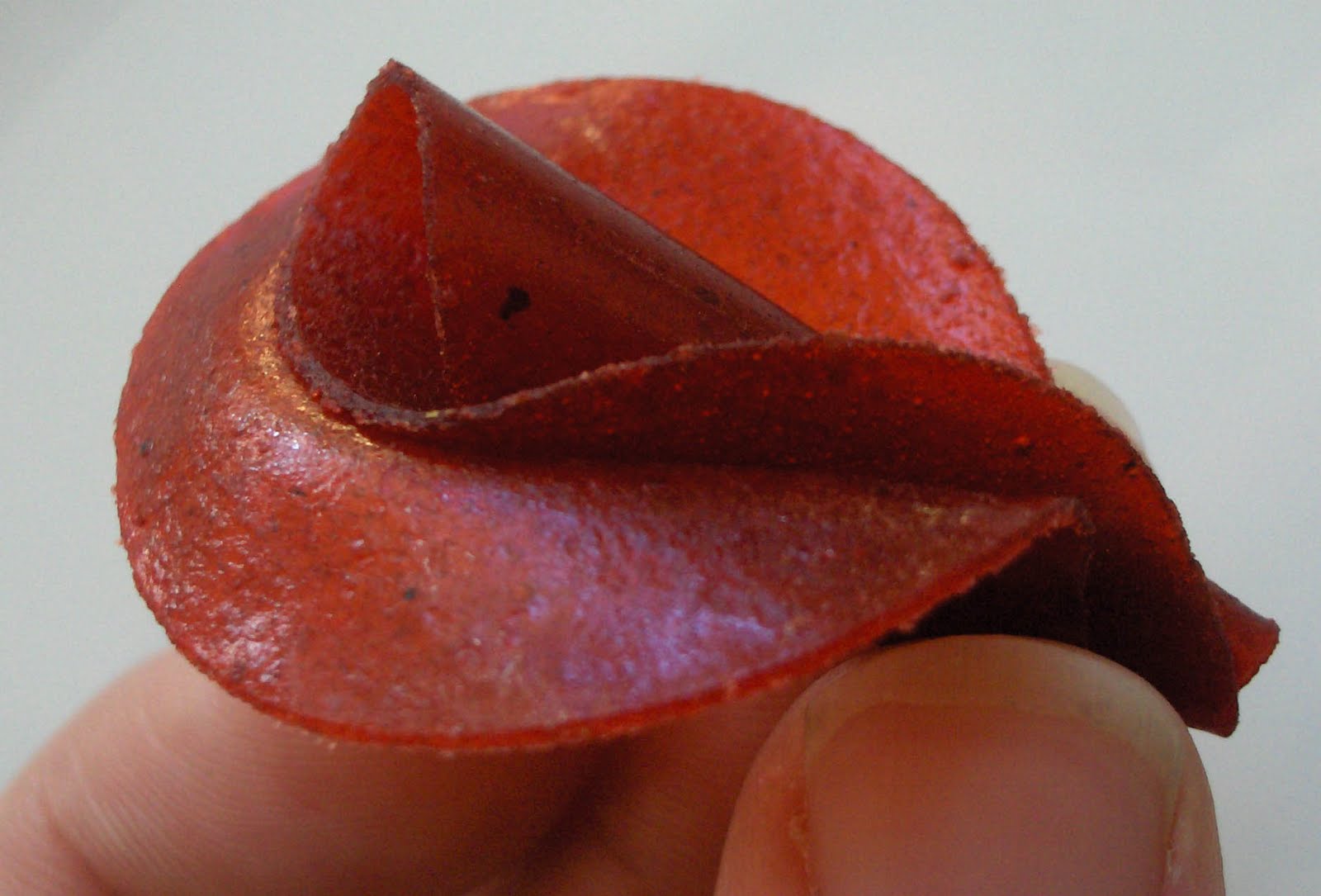 [roll+up+rose+4.jpg]