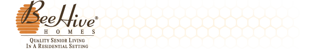 Bee Hive Homes