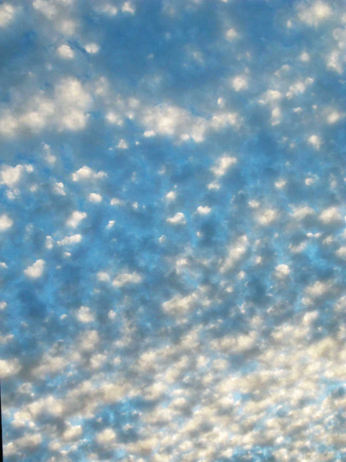 [clouds.jpg]