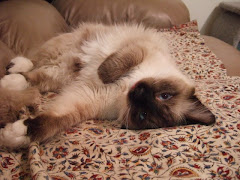 Tashi -  8/2005 to 9/2008
