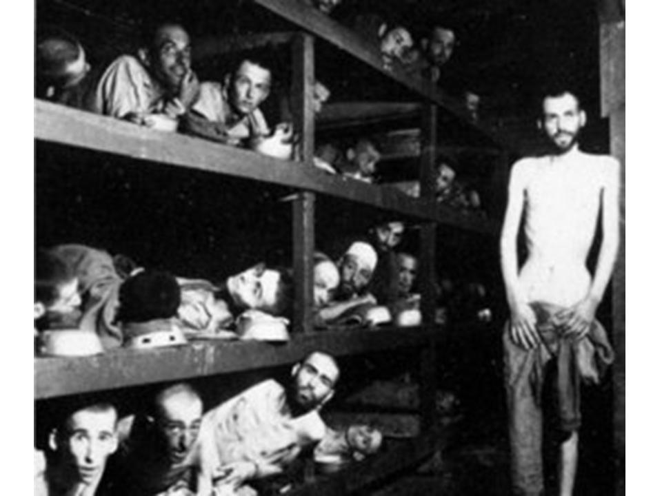 [אסירים+במחנה+הריכוז+בוכנוואלד.JPG]