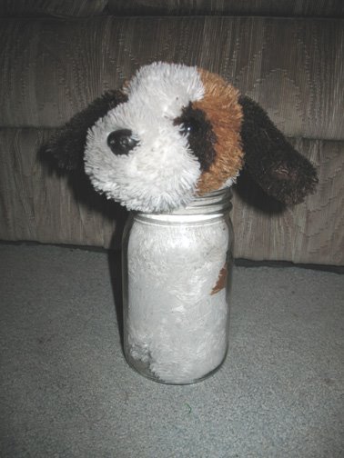 [sparky1.JPG]