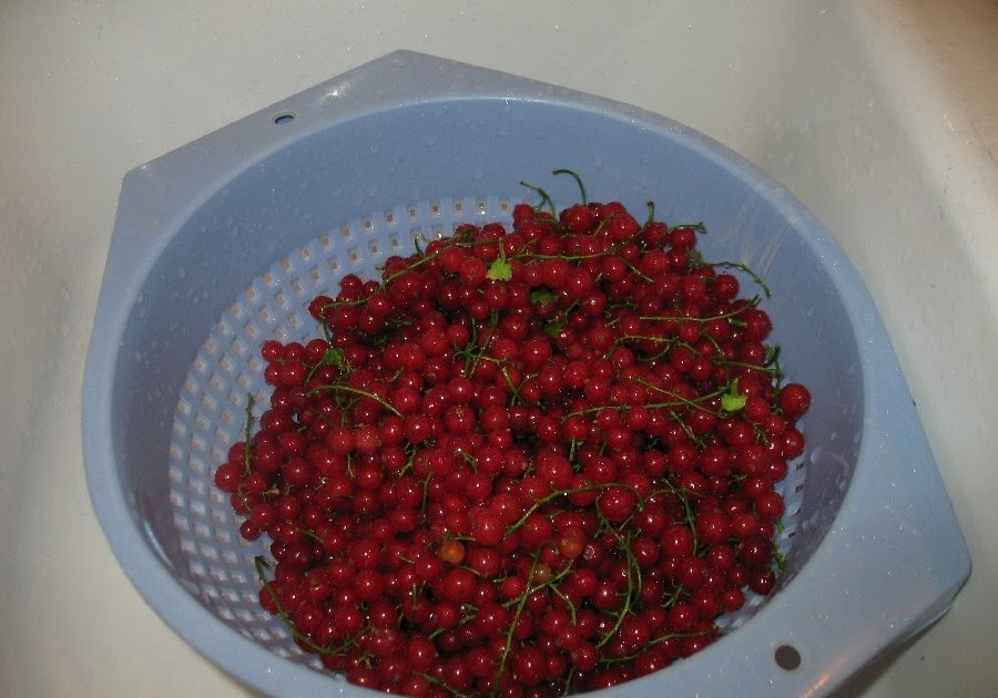 Adventures in Self Reliance Juicing Berries and Making Jelly