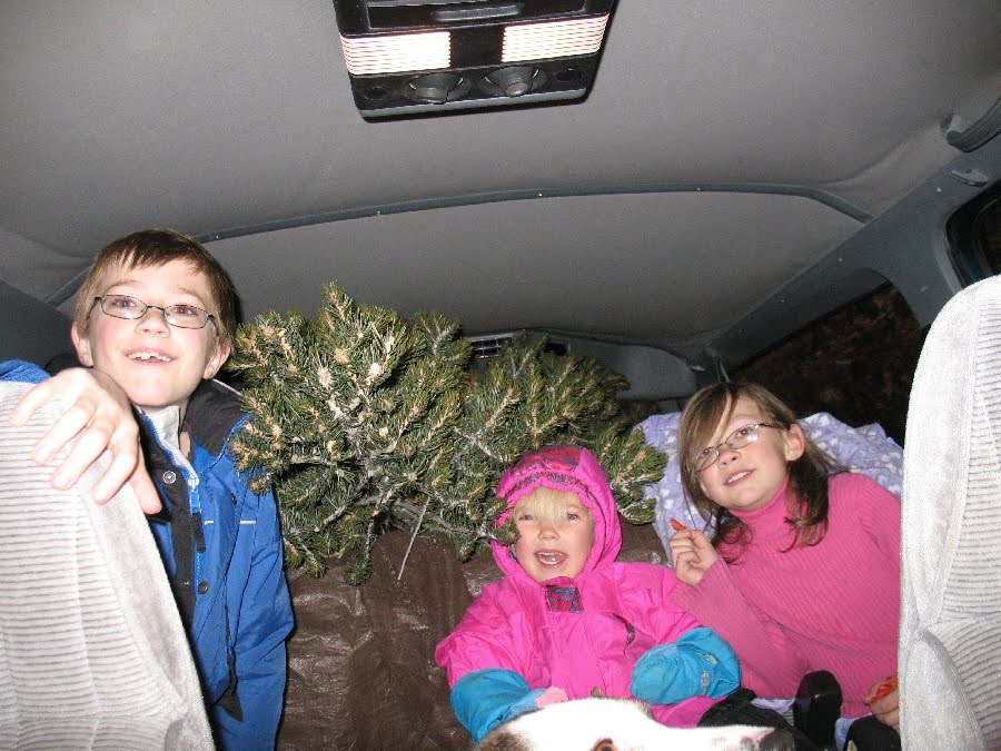 [tree+beast.jpg]