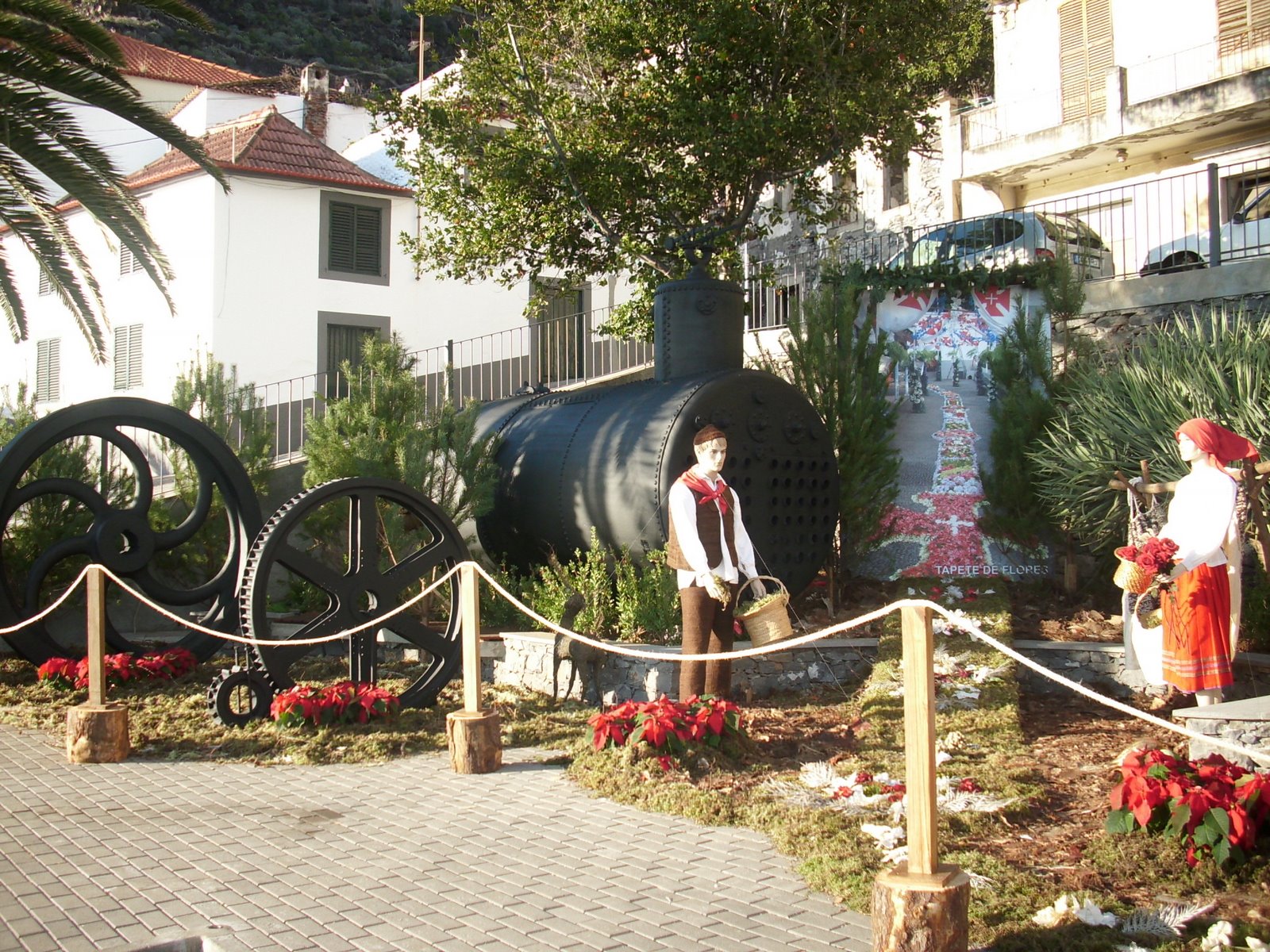 [IMG_0009.JPG]