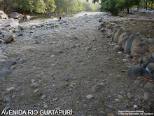 FOTO GANADORA CONCURSO FOTOGRAFIA AMBIENTAL GIMNASIO DEL NORTE VALLEDUPAR 2008