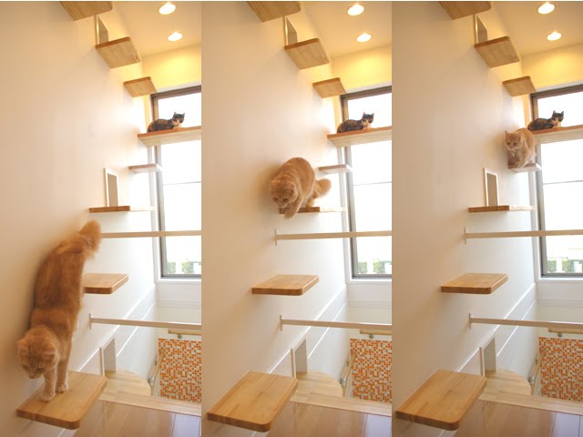 cat house japan design