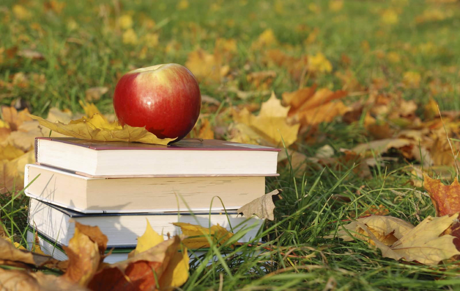 [books+and+leaves.jpg]