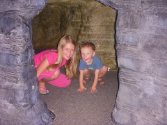 Wilcock Summer Fun 2008!