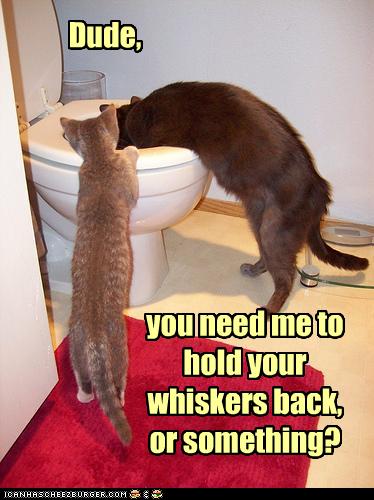 funny sick images