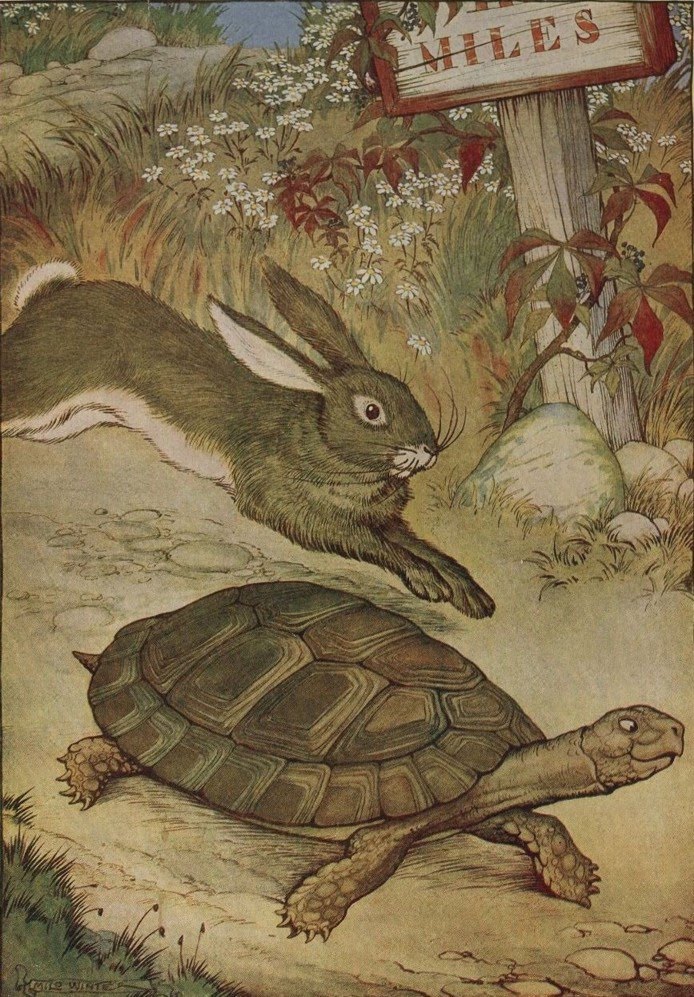 [Fabel+schildpad+en+haas.jpg]