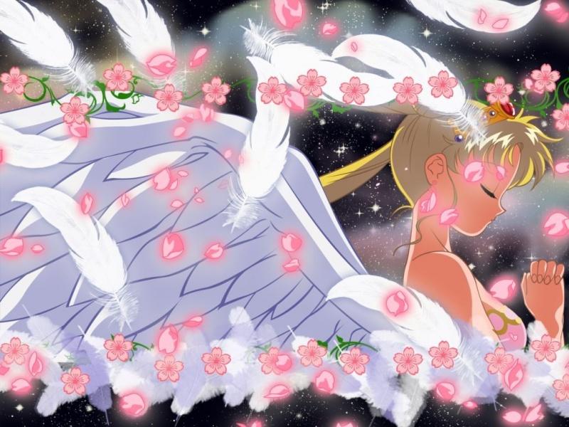 Sailor Moon - Picture Gallery