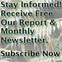 Receive Free One of 4 Reports on Health Issues
