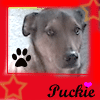 Puckie <3 1997-2009