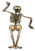 [esqueleto.gif]