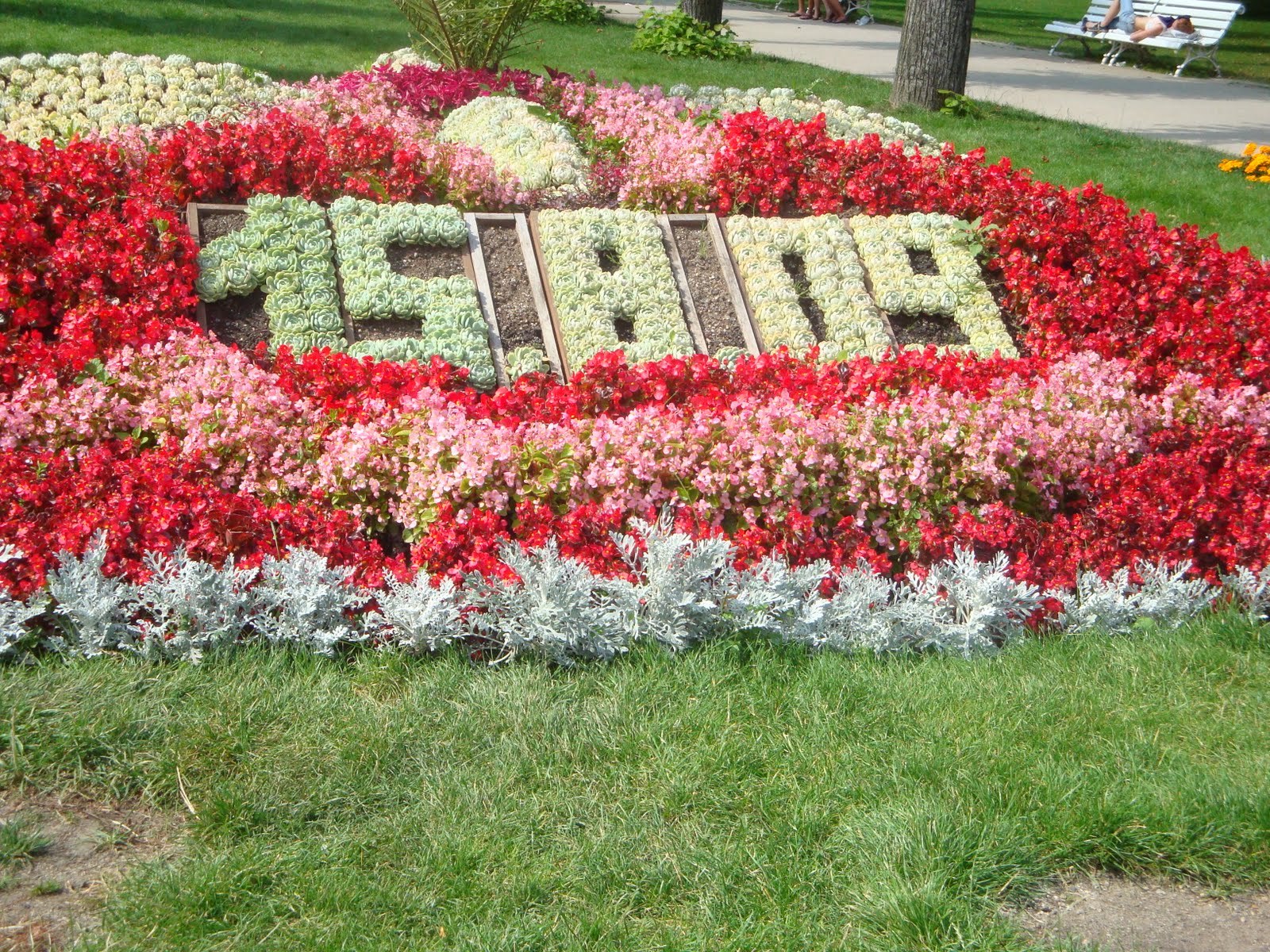 [15-8-2009.JPG]