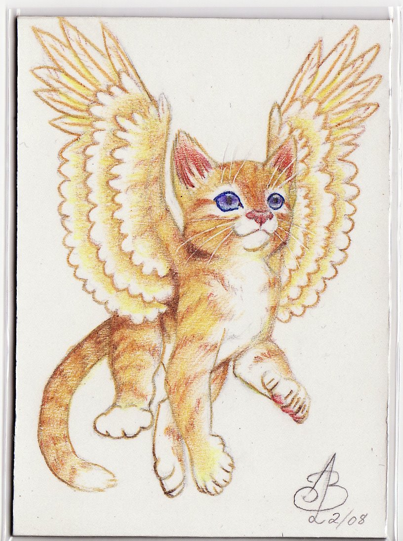 [cat+bird.bmp]