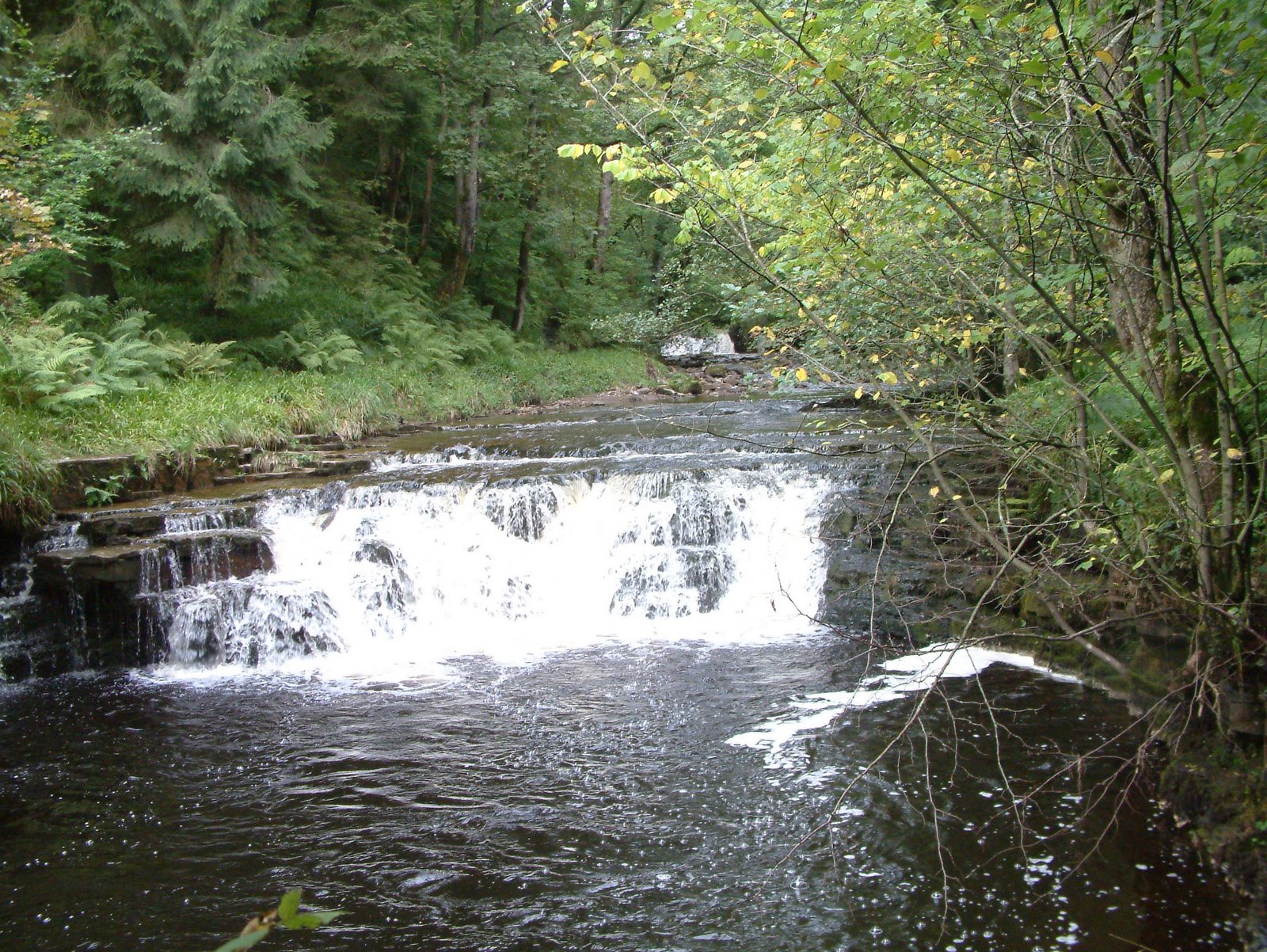 [DSCF0060.JPG]
