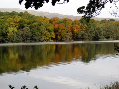 [Autumn+Tints.JPG]