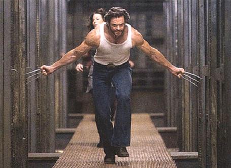 [Wolverine4.jpg]