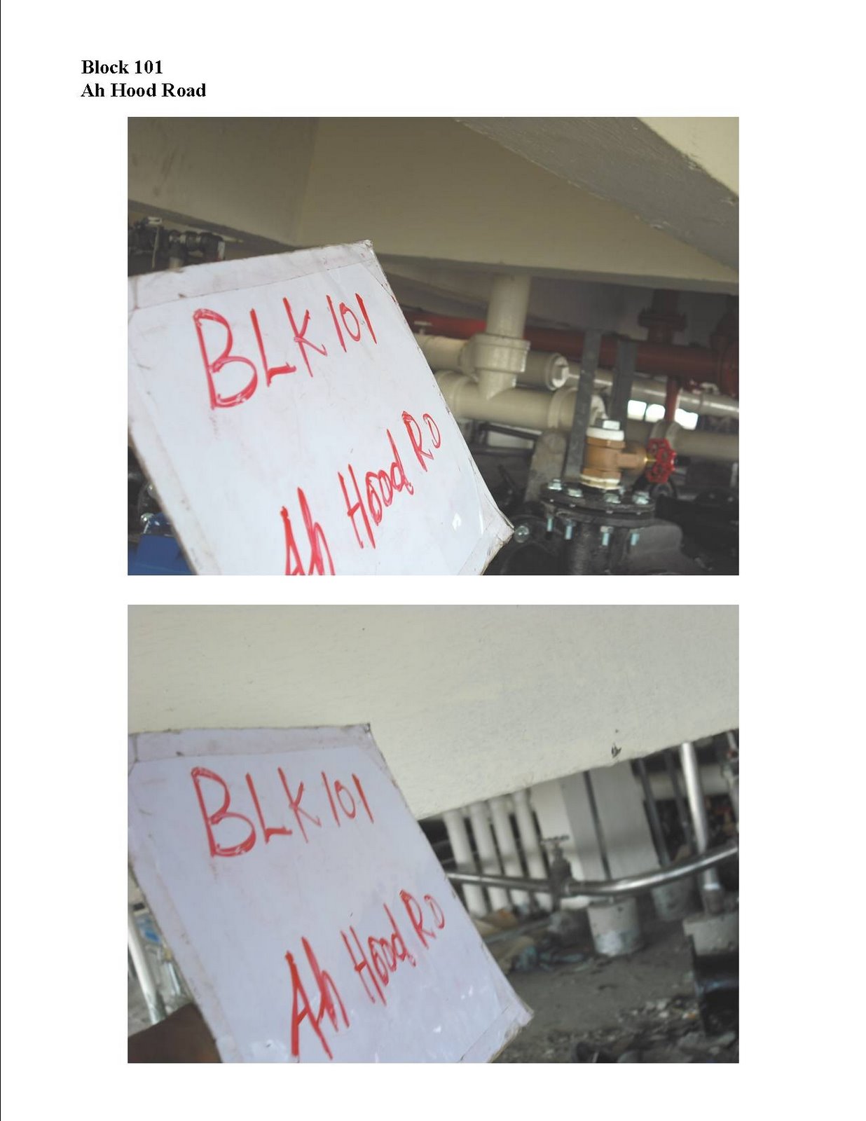 [005.JPG]