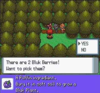 Pokemon Dry Berry