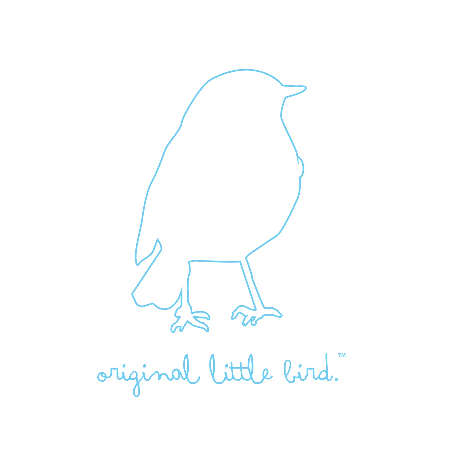 Little Bird Graphic