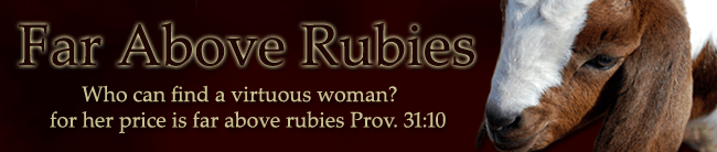 Far Above Rubies