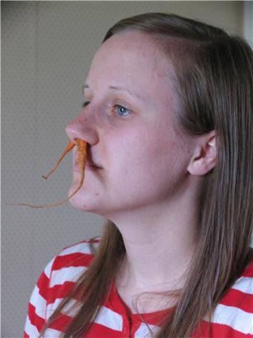 [carrots+in+nose.jpg]