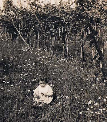 La mia mamma, bambina, circondata dalle margherite sotto il vigneto di famiglia.