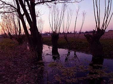 Il fossato al tramonto. Foto di Andrea Mangoni.