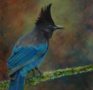 Adrienne Peacock Steller S Jay