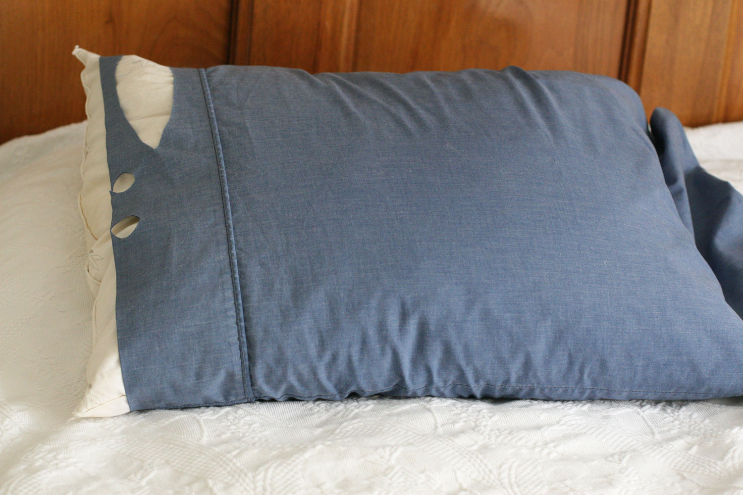 [pillowholes.jpg]