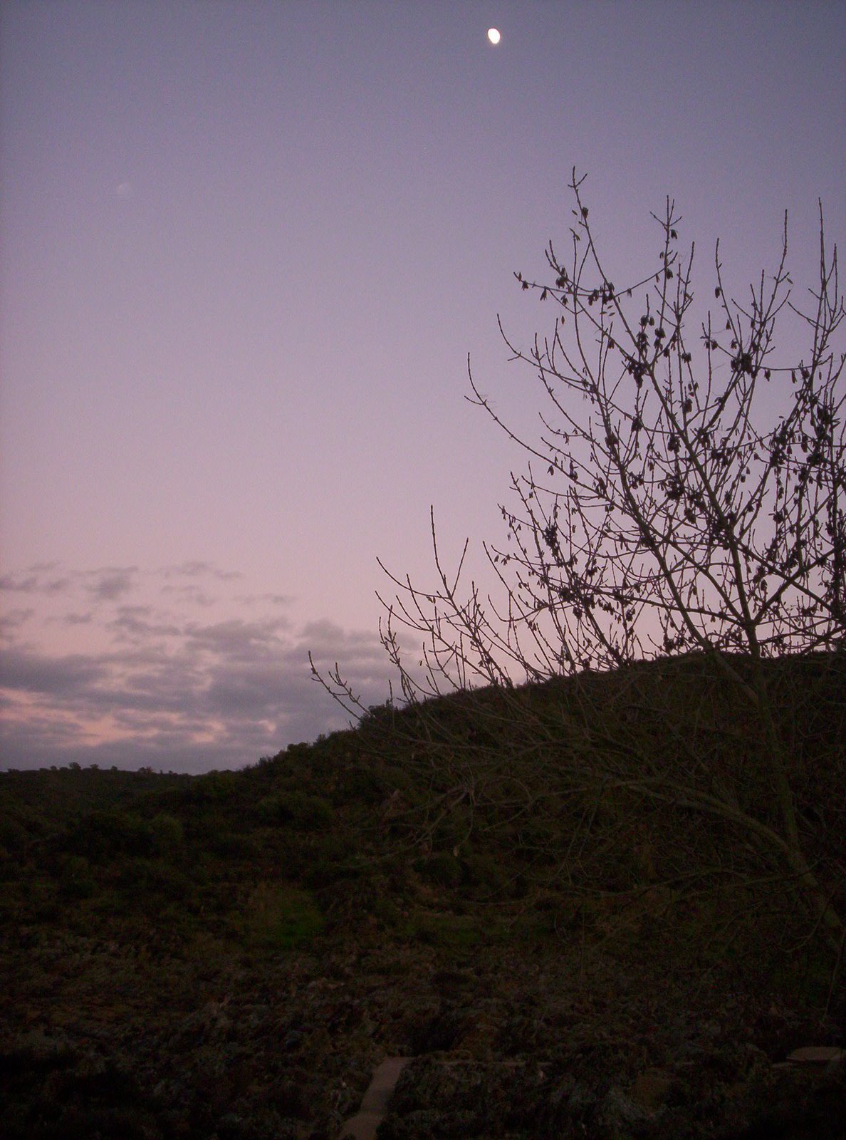 [2008+254.JPG]